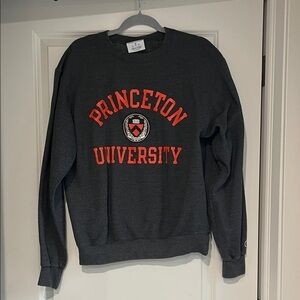 Champion Dark Gray Princeton Crewneck Sweater